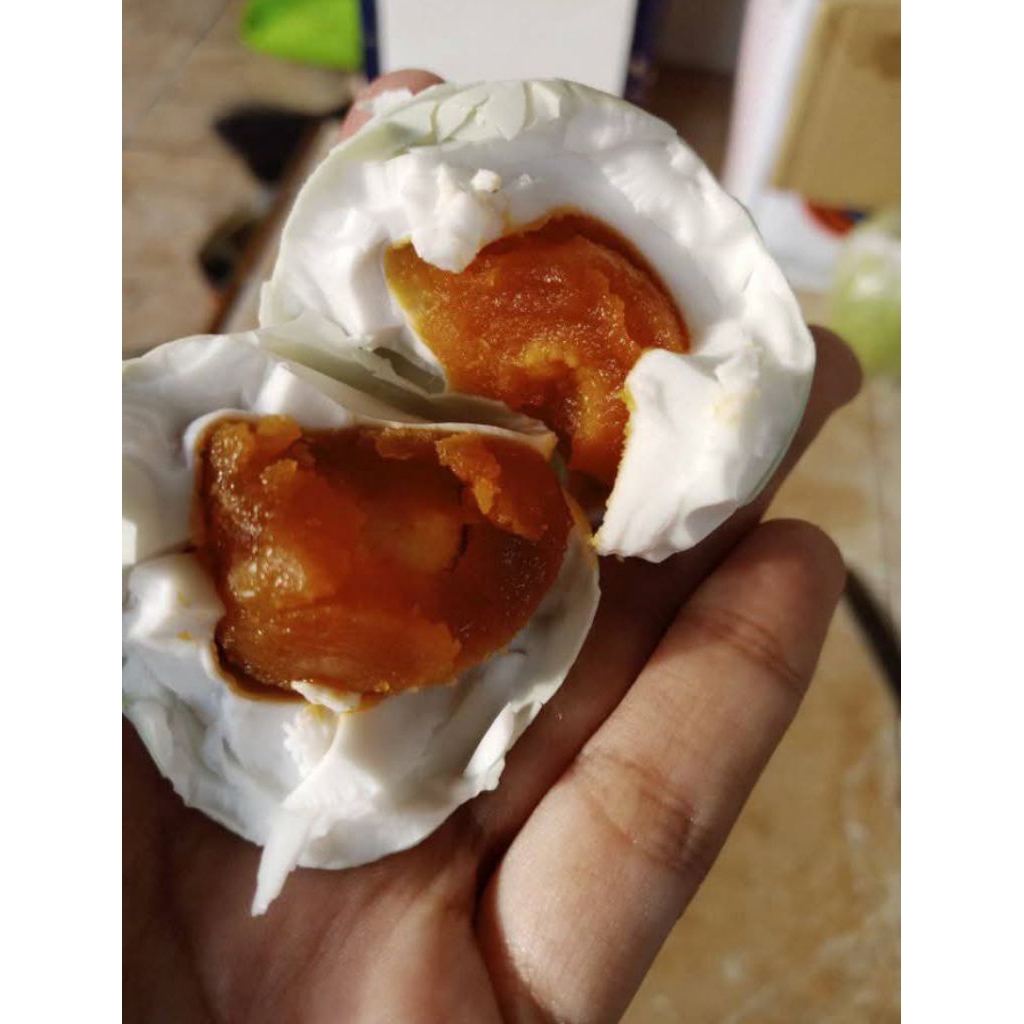 

TELUR ASIN BEBEK isi 4