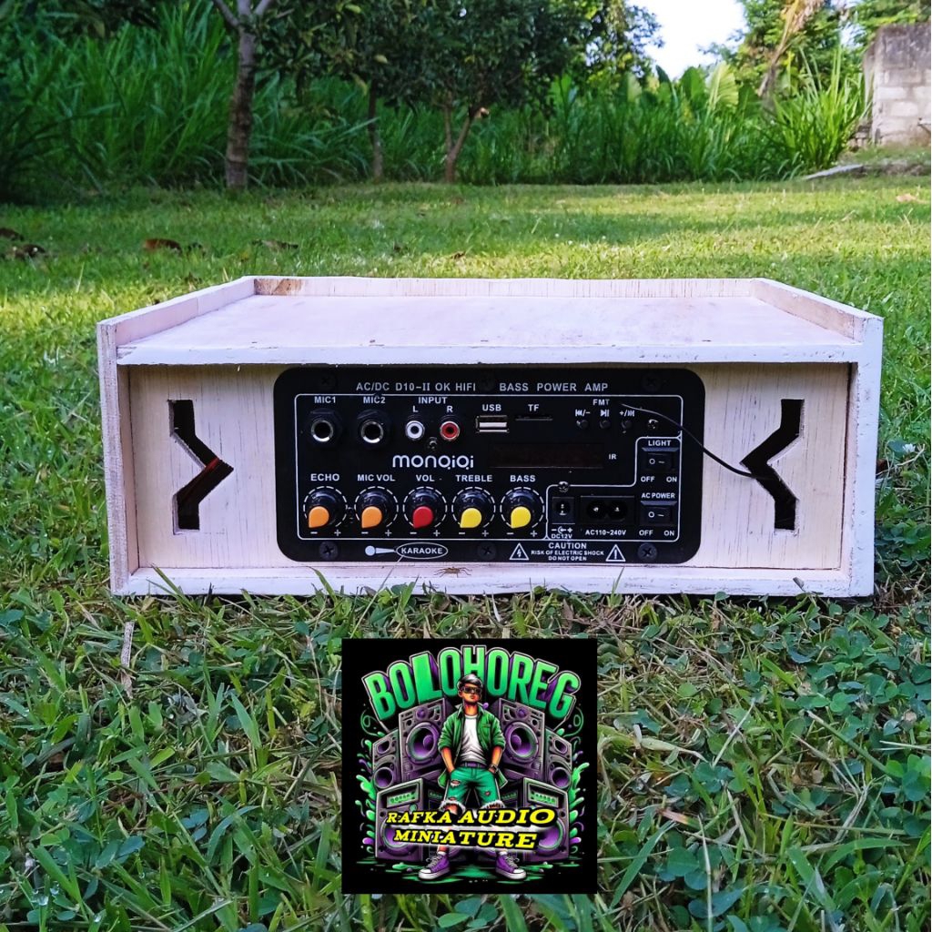 power amplifier class D10 pro bluetooth karaoke