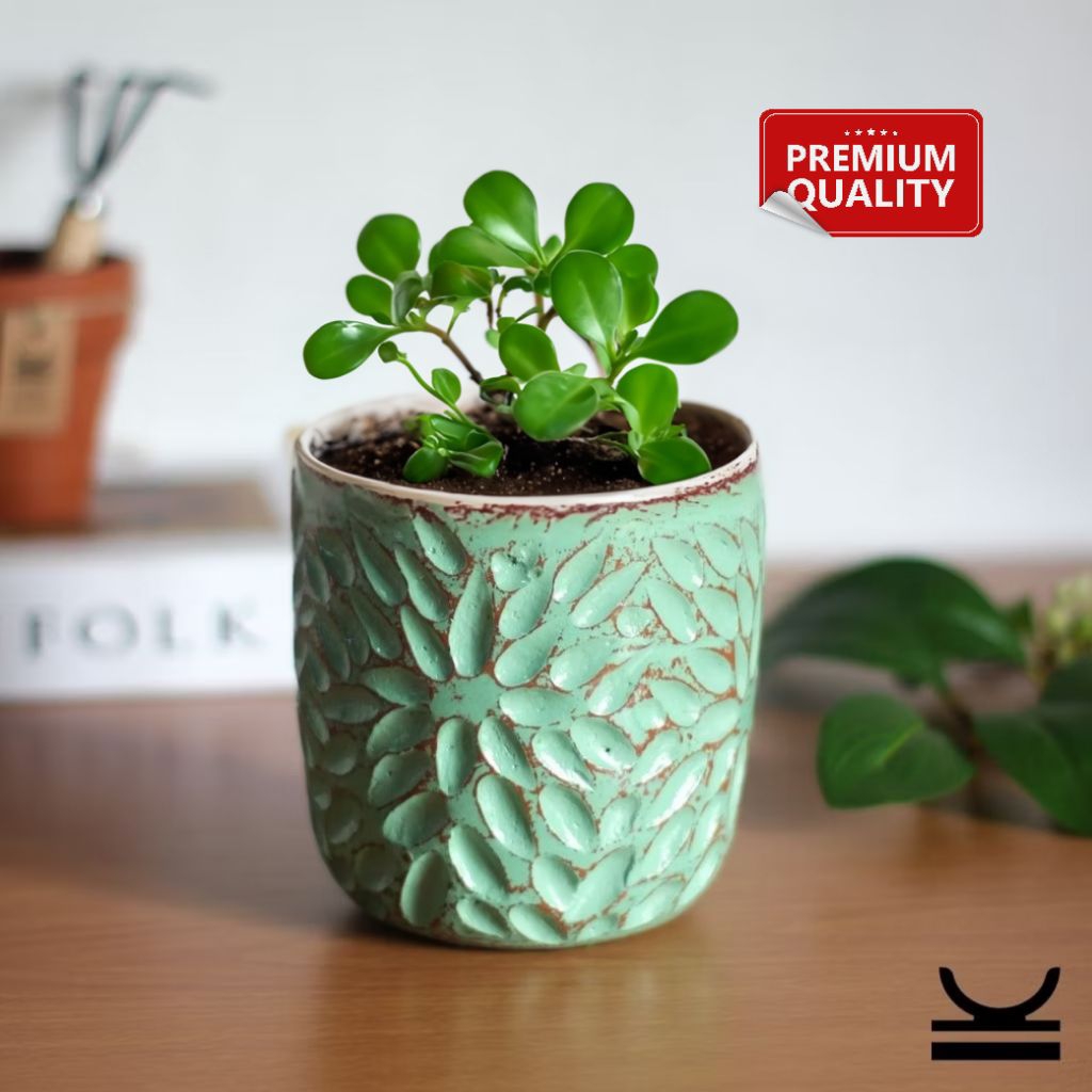 (CR30) Pot Gerabah | Pot Terakota | Pot Tanah Liat | Pot Tanaman | Pot Bunga | Aesthetic