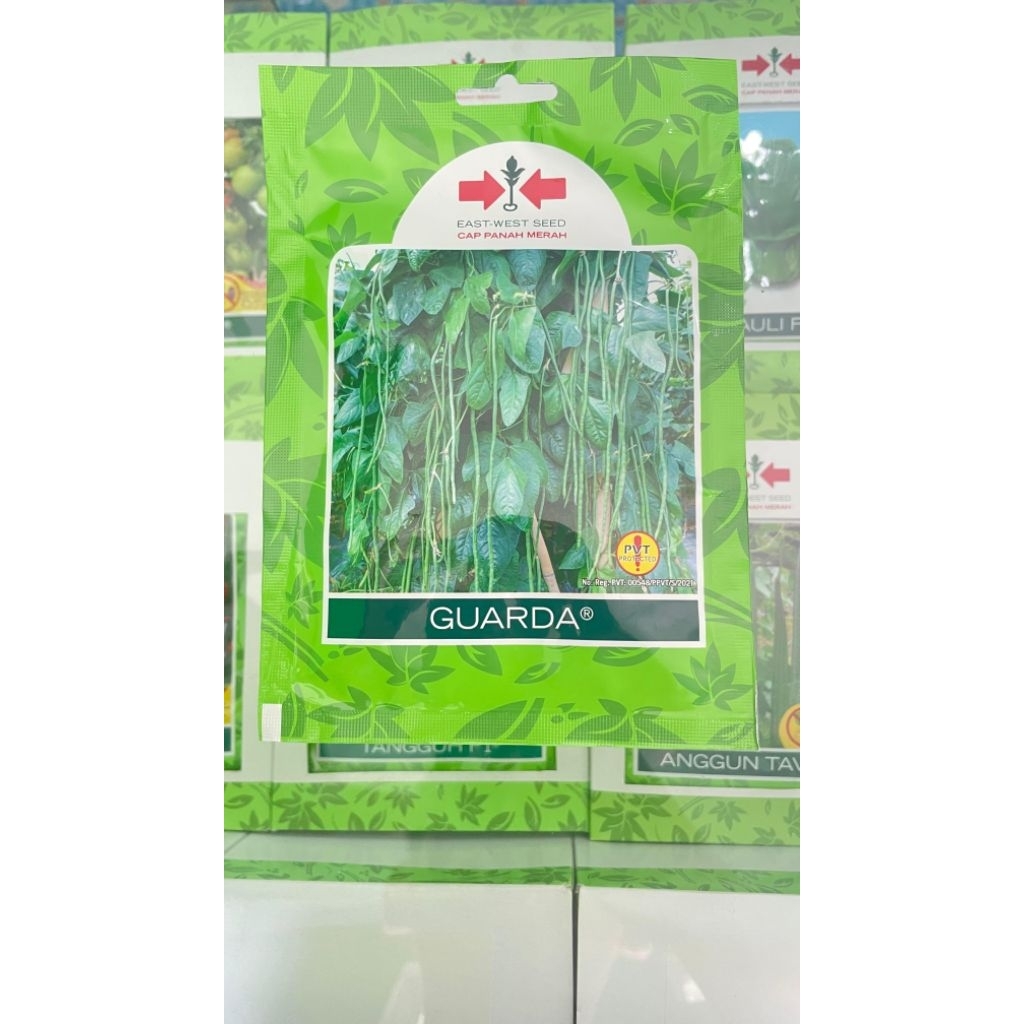Bibit Guarda Kacang Panjang isi 200 butir Panah Merah