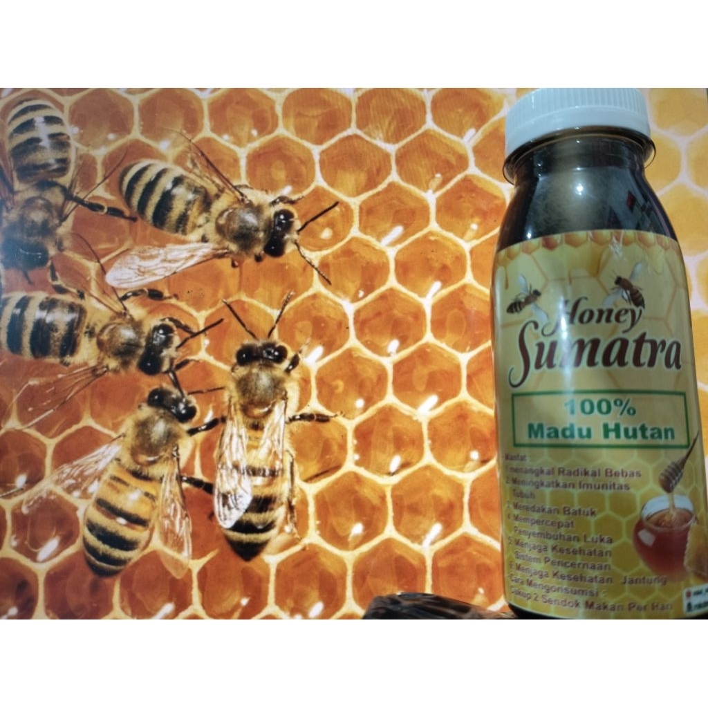 

madu MKD/madu hutan murni/madu sumatra asli ukuran 150g
