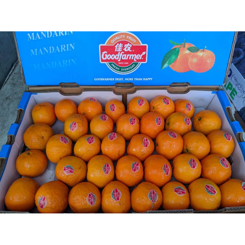 

JERUK WOGAN GOODFARMER BERSIH 8 KG NEW