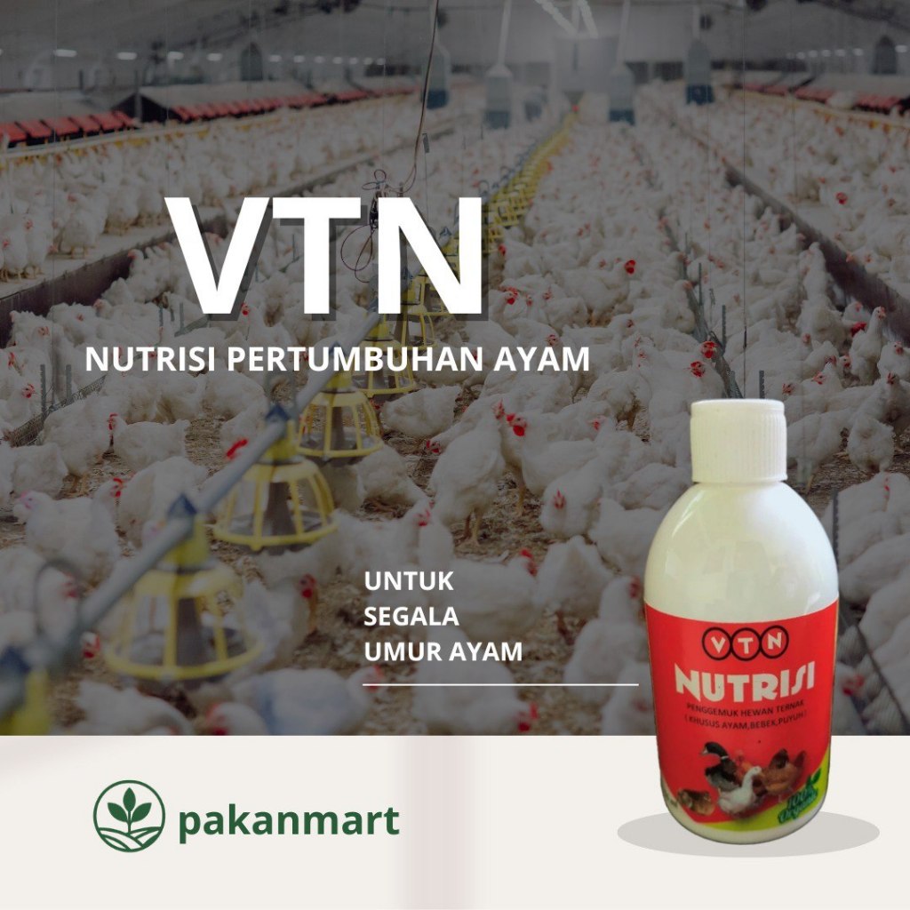 VTNPRO VITAMIN AYAM AGAR CEPAT BESAR | VITAMIN AYAM ADUAN | VITAMIN AYAM BROILER | VITAMIN AYAM