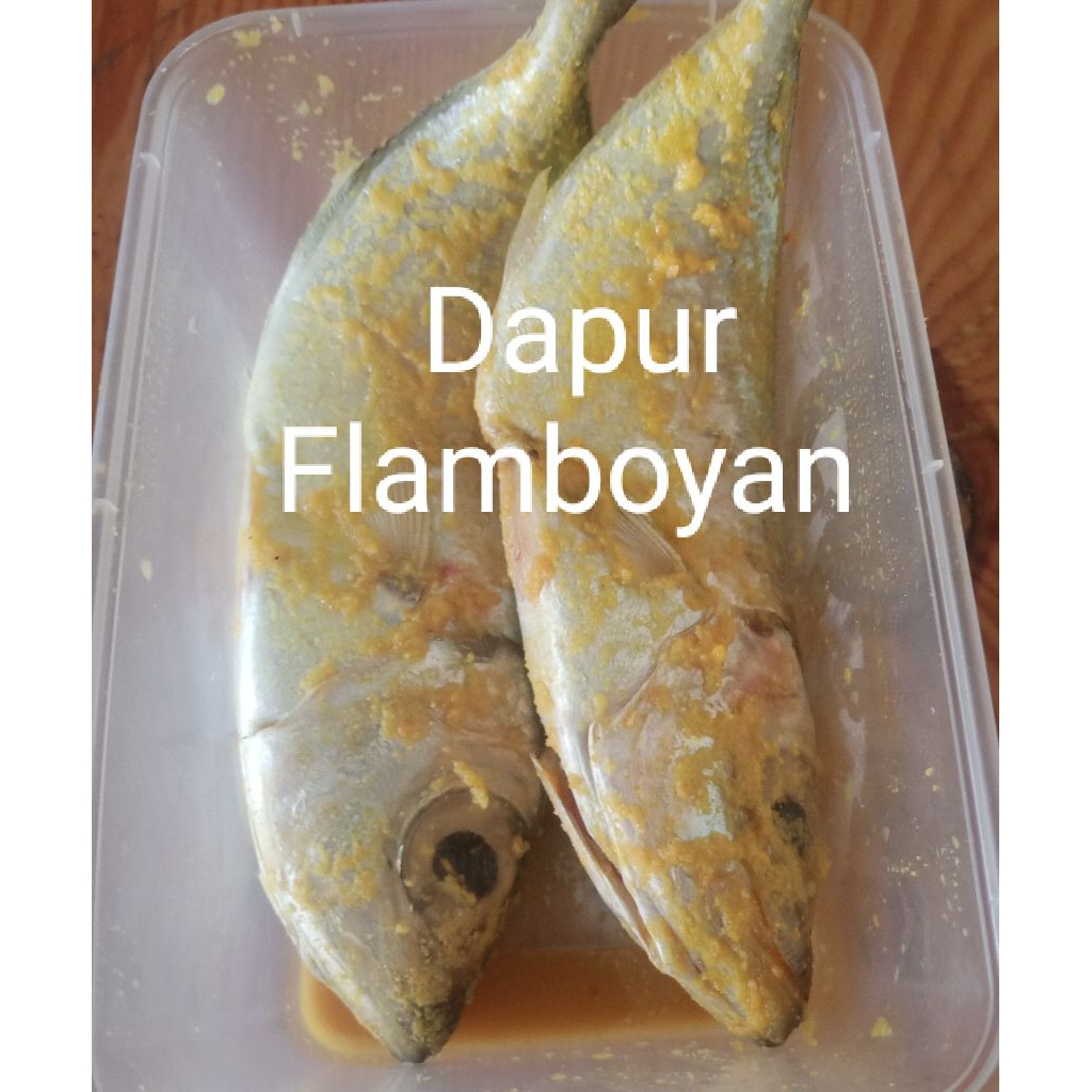 

Ikan kembung mata belok bumbu siap goreng isi 2 pcs