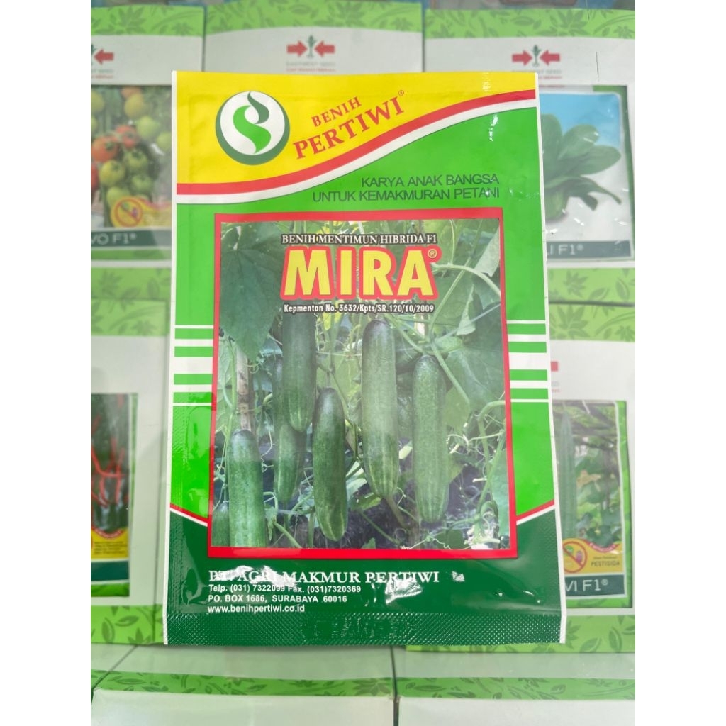 bibit timun Mira hibrida kemasan 10 gram & 25 gram timun unggul