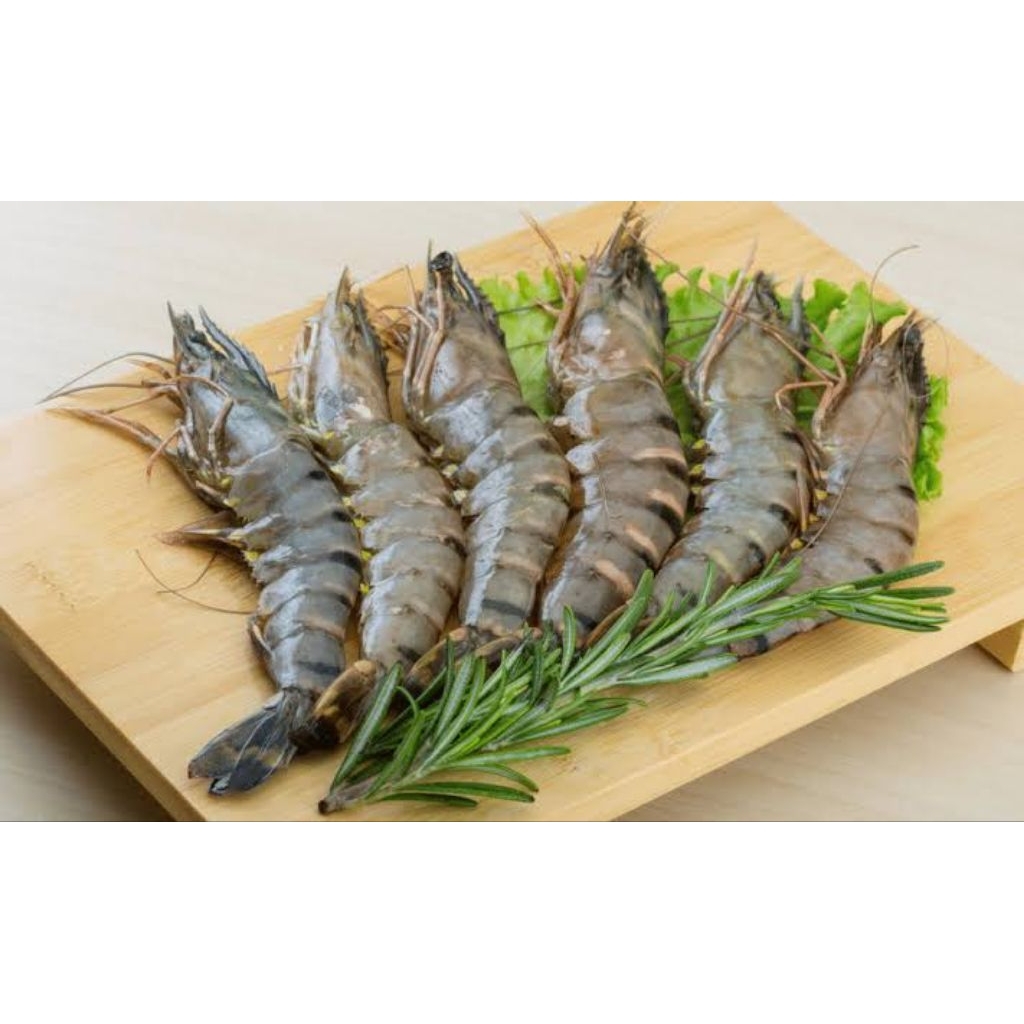 

Udang Pancet 250 gr, 500 gr dan 1000 gr