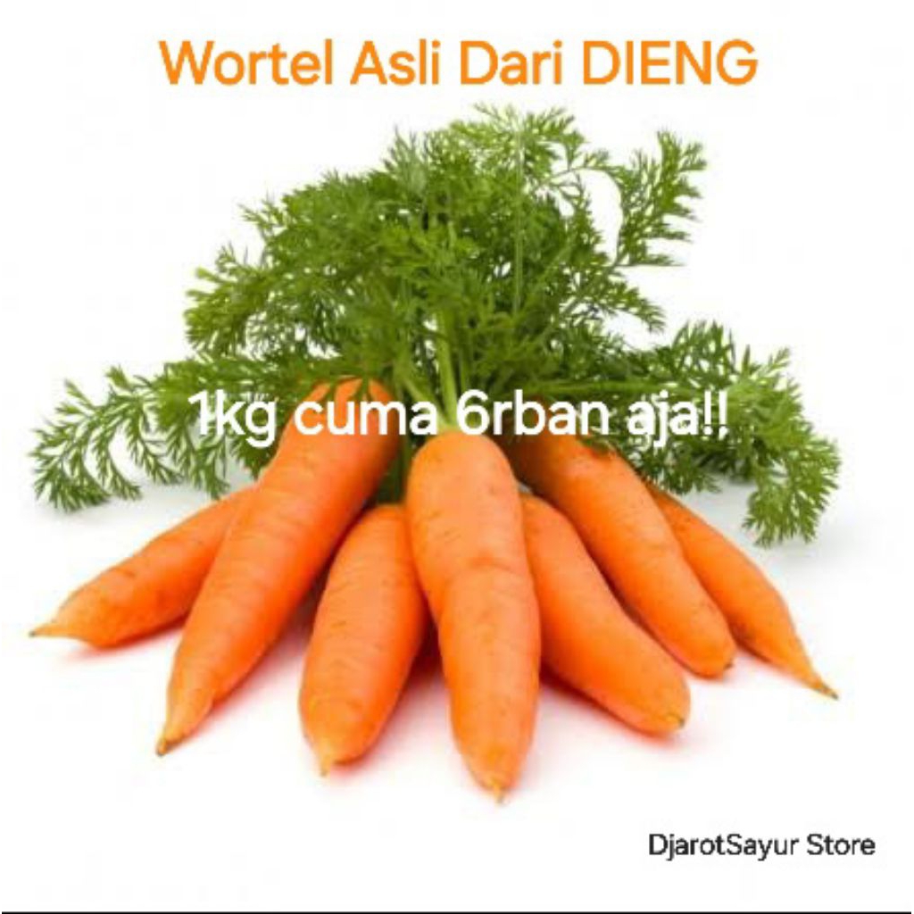 

Wortel Langsung Dari Petani Dieng 1kg