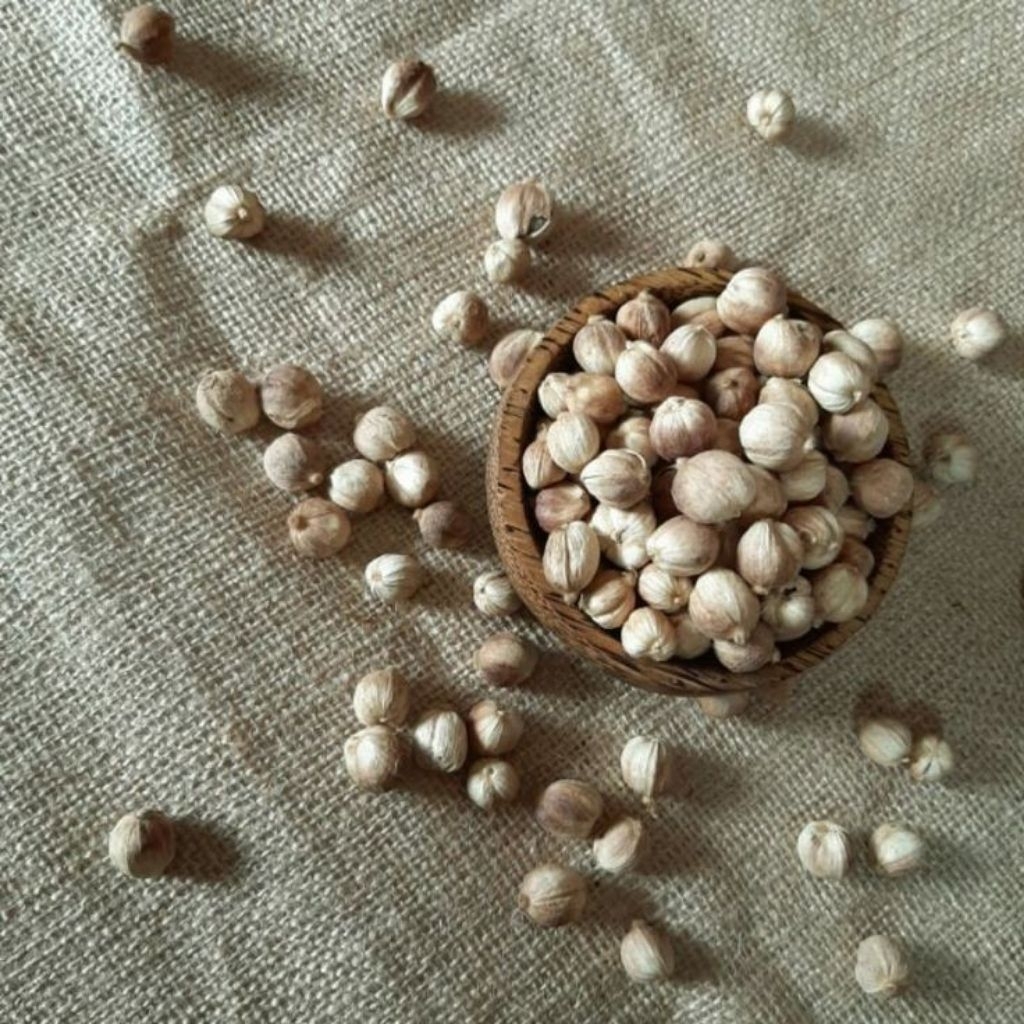 

kapulaga kering 250gram kapolaga organik sudah di cuci bersih