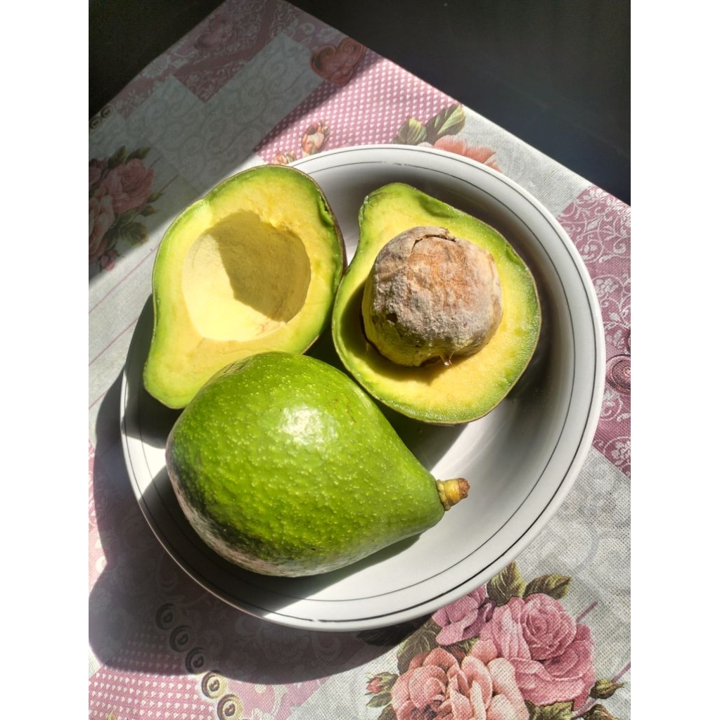 

Alpukat Mentega