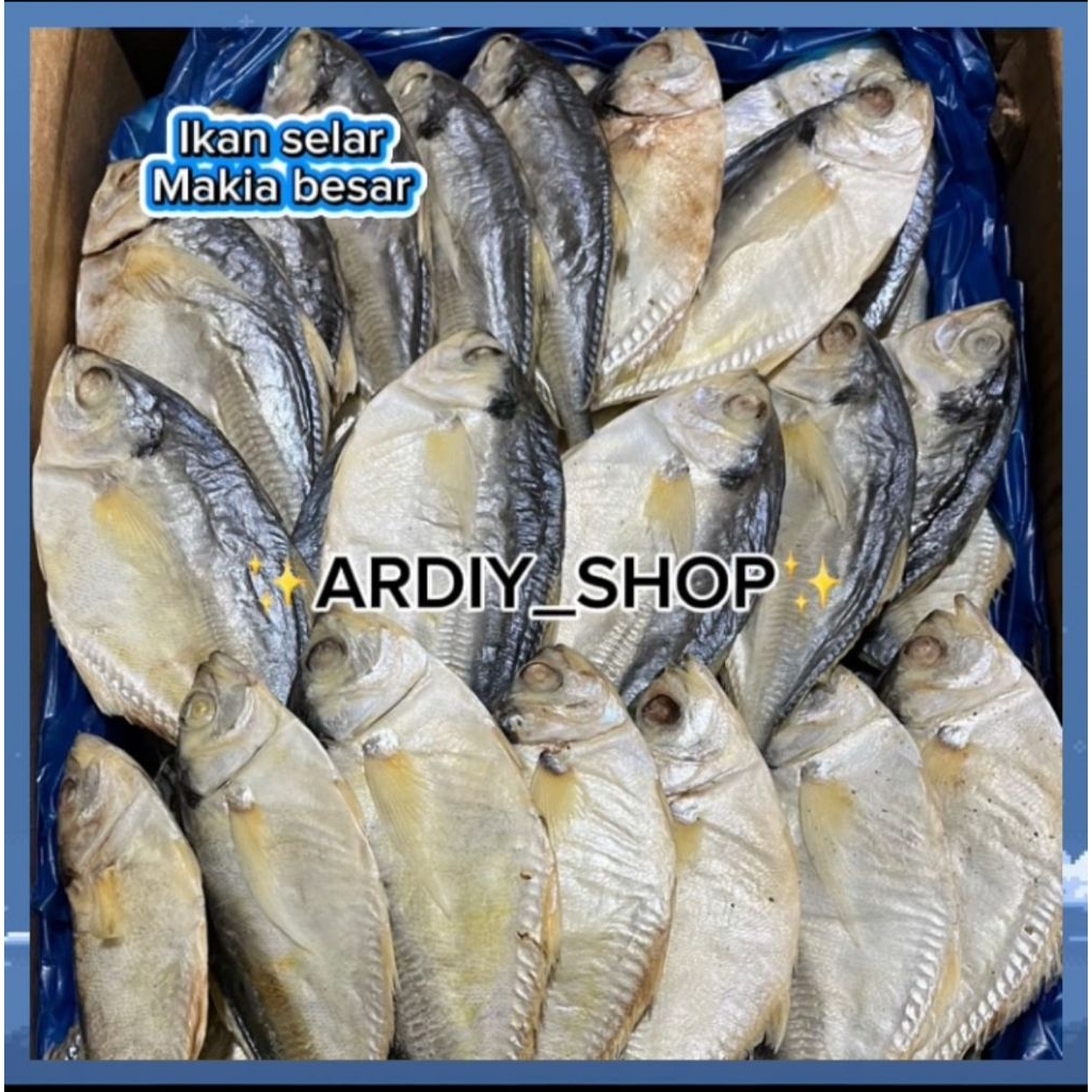 

IKAN ASIN SELAR MAKIYAH BESAR ENAK KERING
