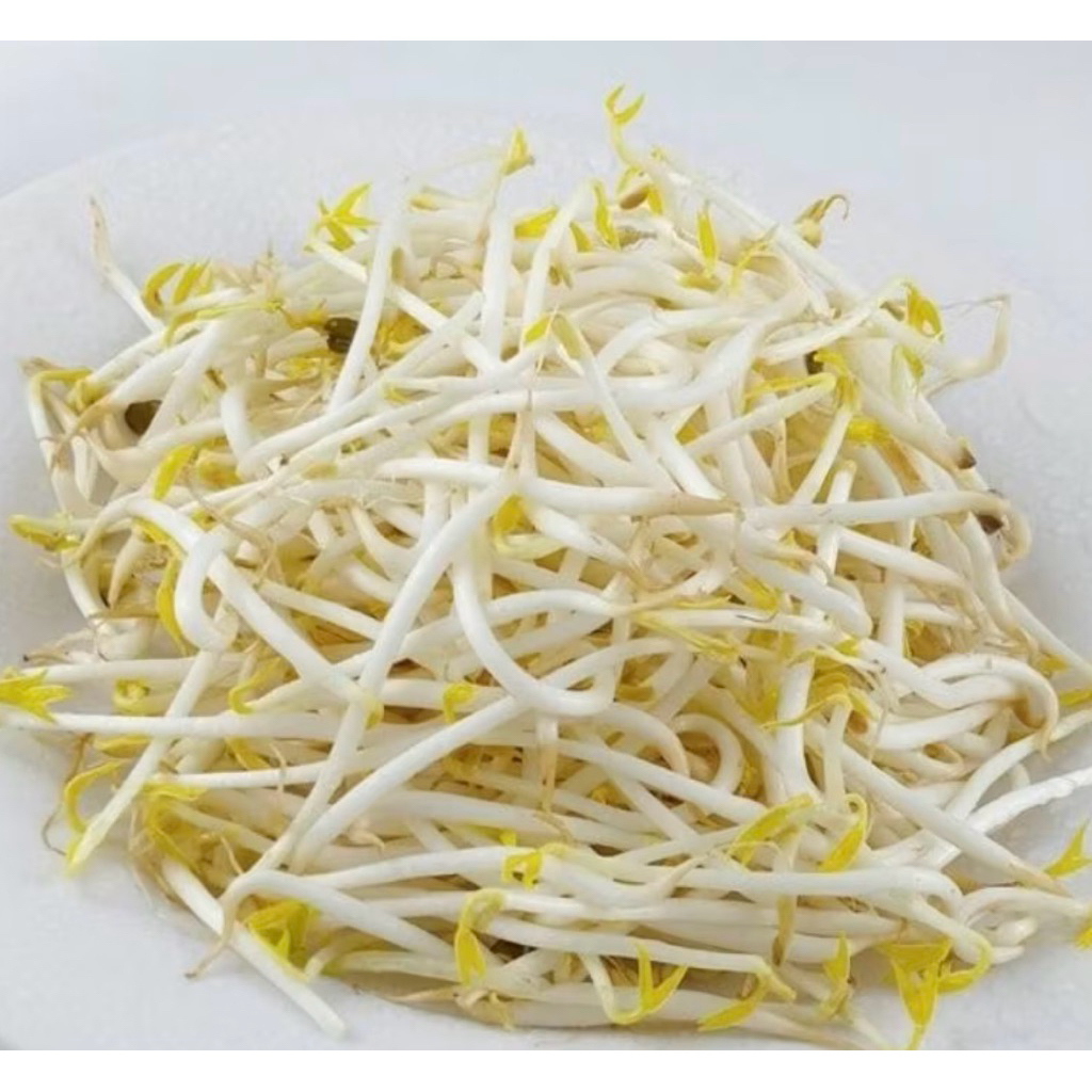 

Tauge Panjang / Kecambah Panjang 500gram