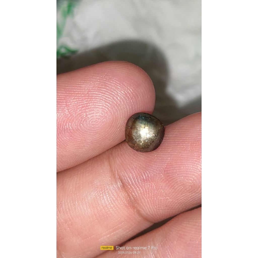 Natural black star sapphire/bangsing 1.60cts