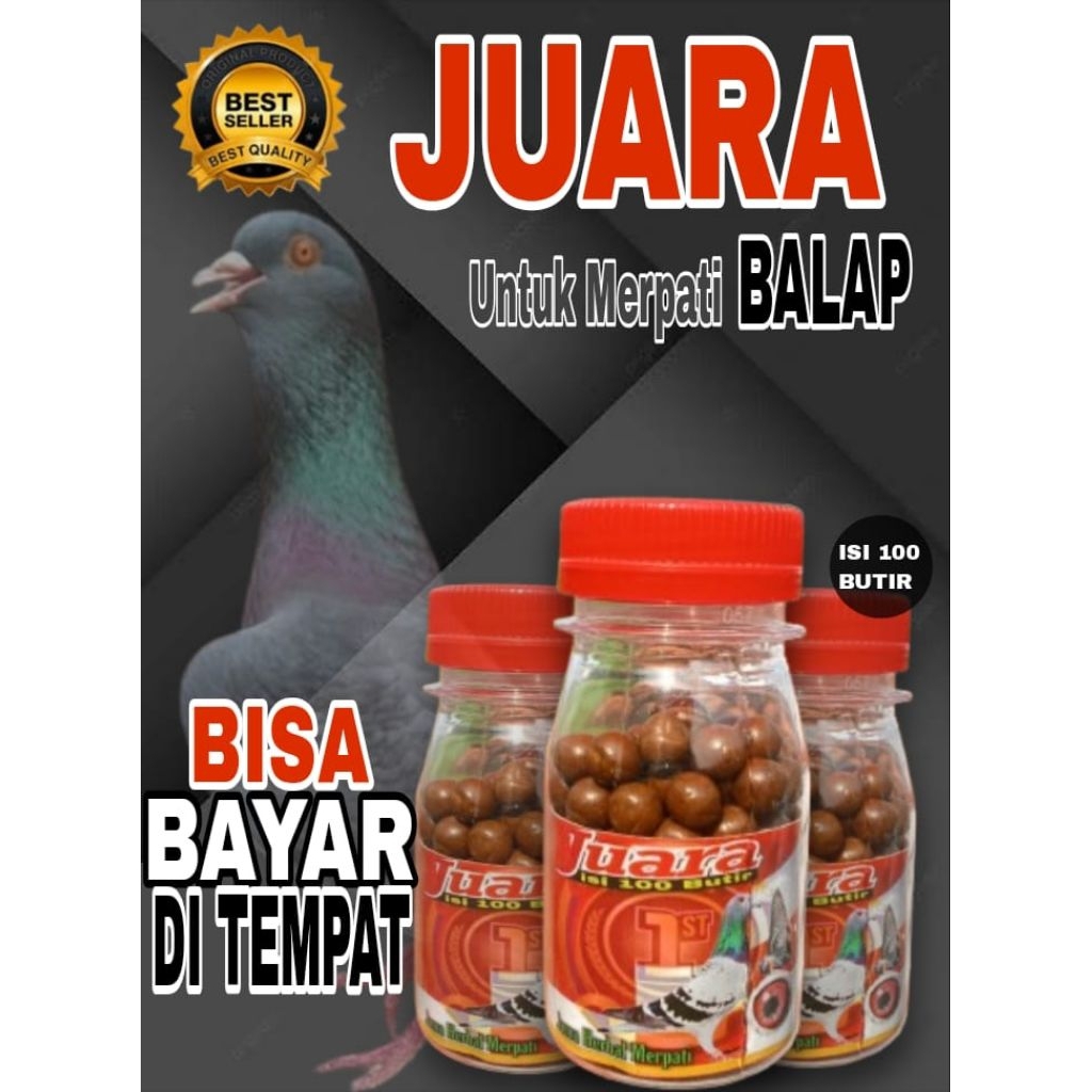 JAMU MERPATI JUARA NGOLONG ISI 100 PIL DOPING LOMBA TINGGIAN TURUN BERANI TERBANG STABIL  isi 100 bu