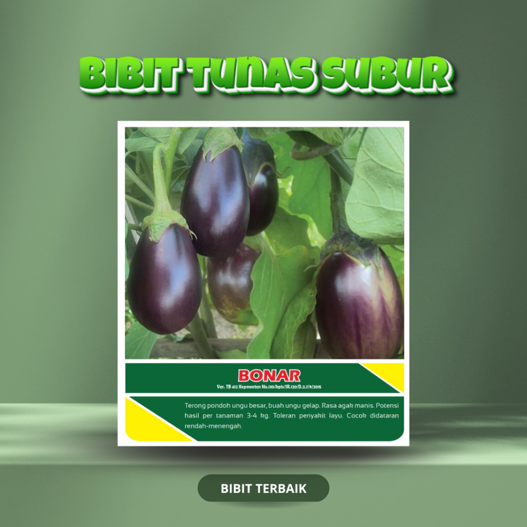 Benih Bibit Terong Ungu Bonar Tunas Subur – 10 Gram