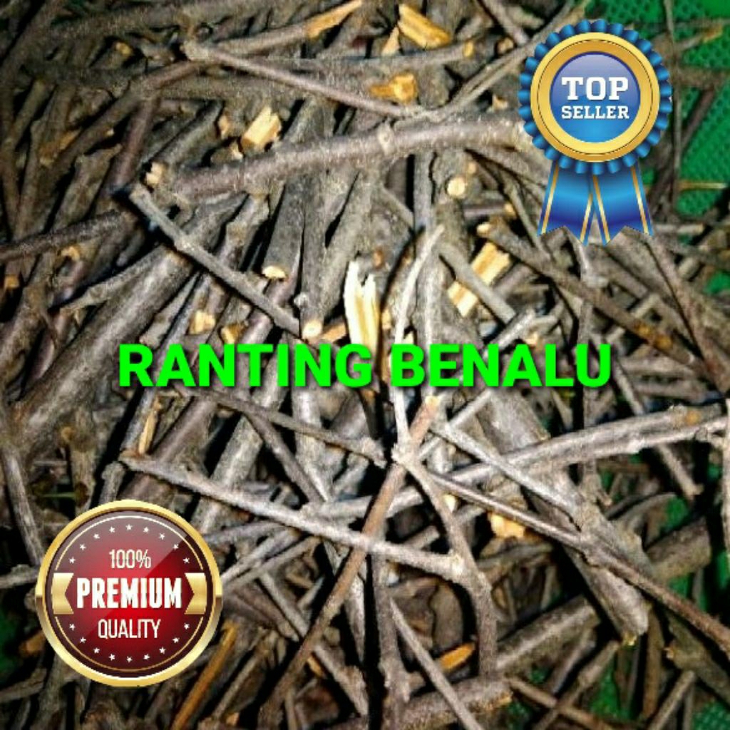 

Ranting/batang benalu mangga arum manis grade A+ 1 kg/1000 gram