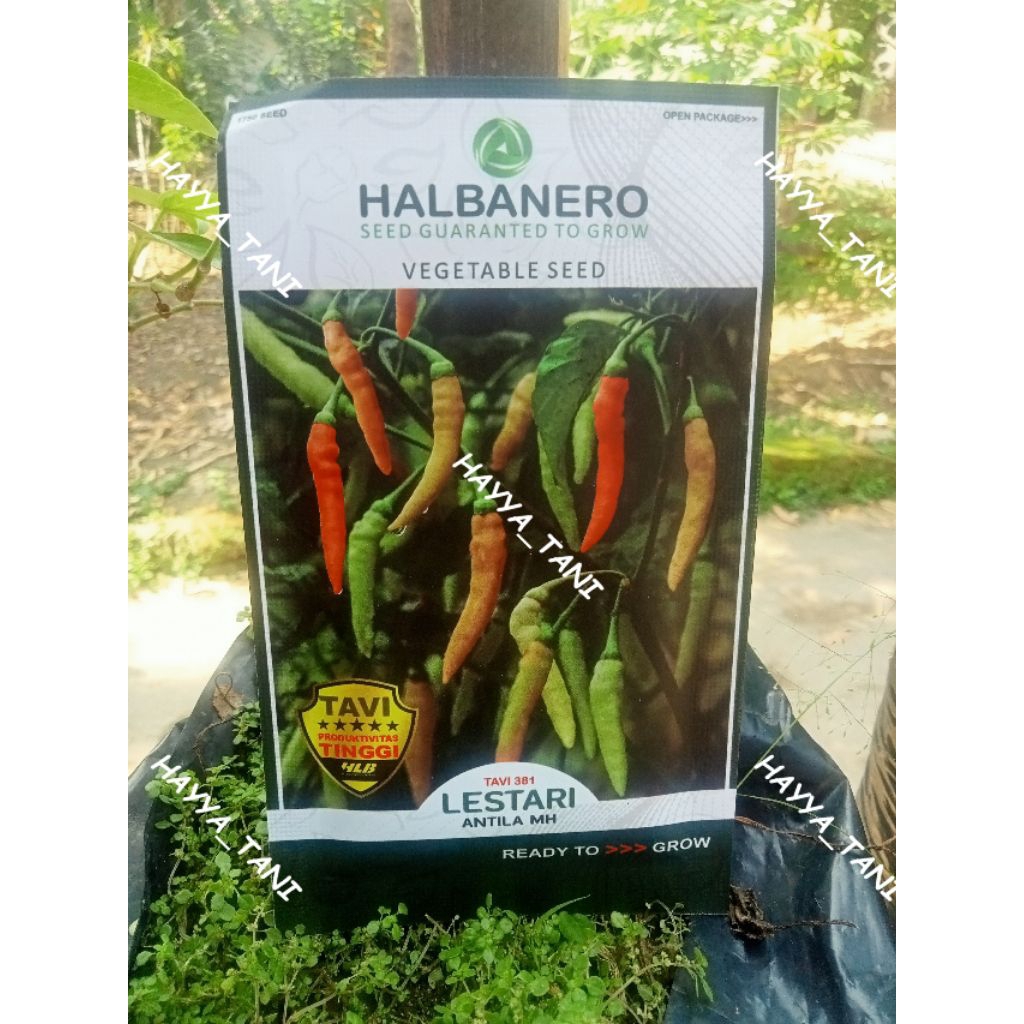 Halbanero TAVI 381 LESTARI ANTILA MH