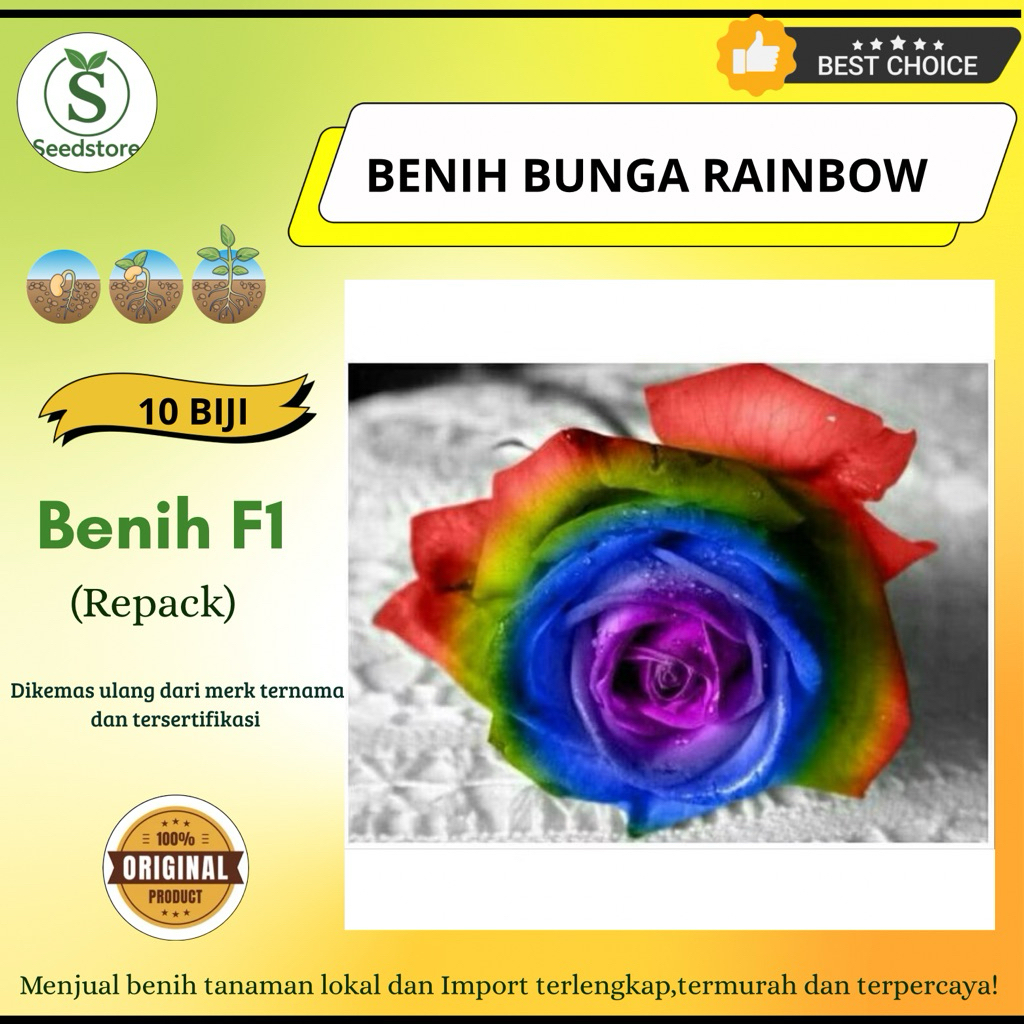 10 benih biji bunga mawar pelangi / rainbow rose import