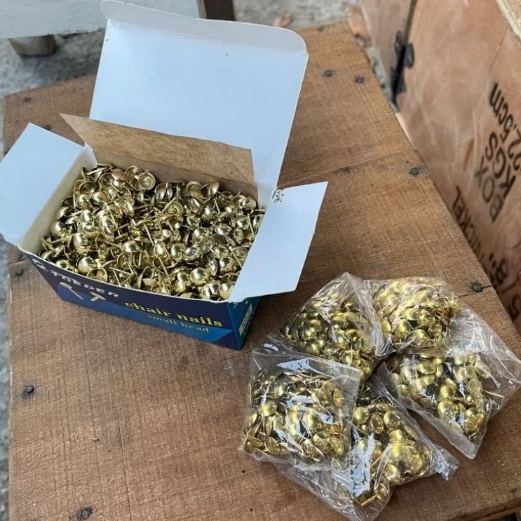 Paku mata kucing paku pines emas/paku sofaa serbaguna