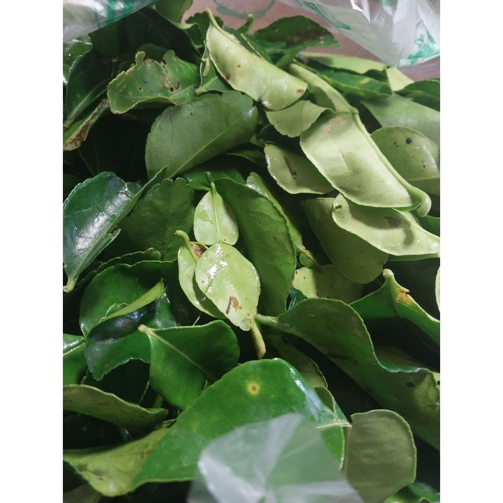 

daun jeruk penyedap masakan