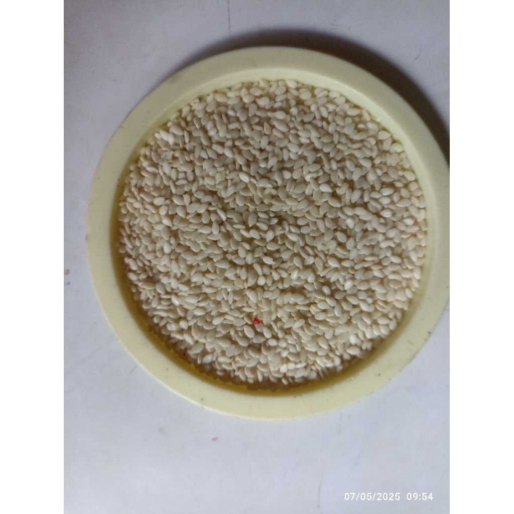 

Biji Bijian Bahan Kolase | Biji Kreasi Warna Warni | Biji Kreasi Alami