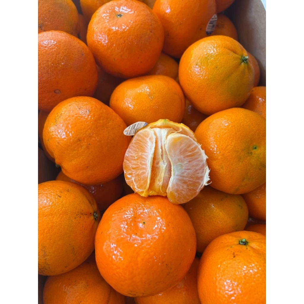 

Jeruk Honey Murcott Aussie 1 Kg