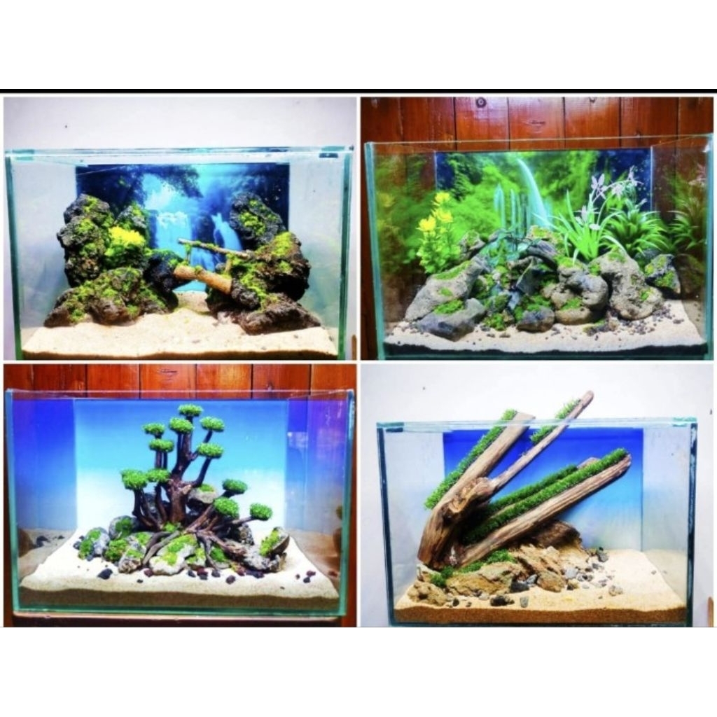 hardscape Bonsai Aquarium 30-40cm