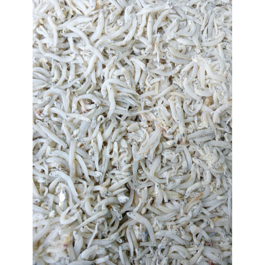 

Teri Nasi Super 500gr