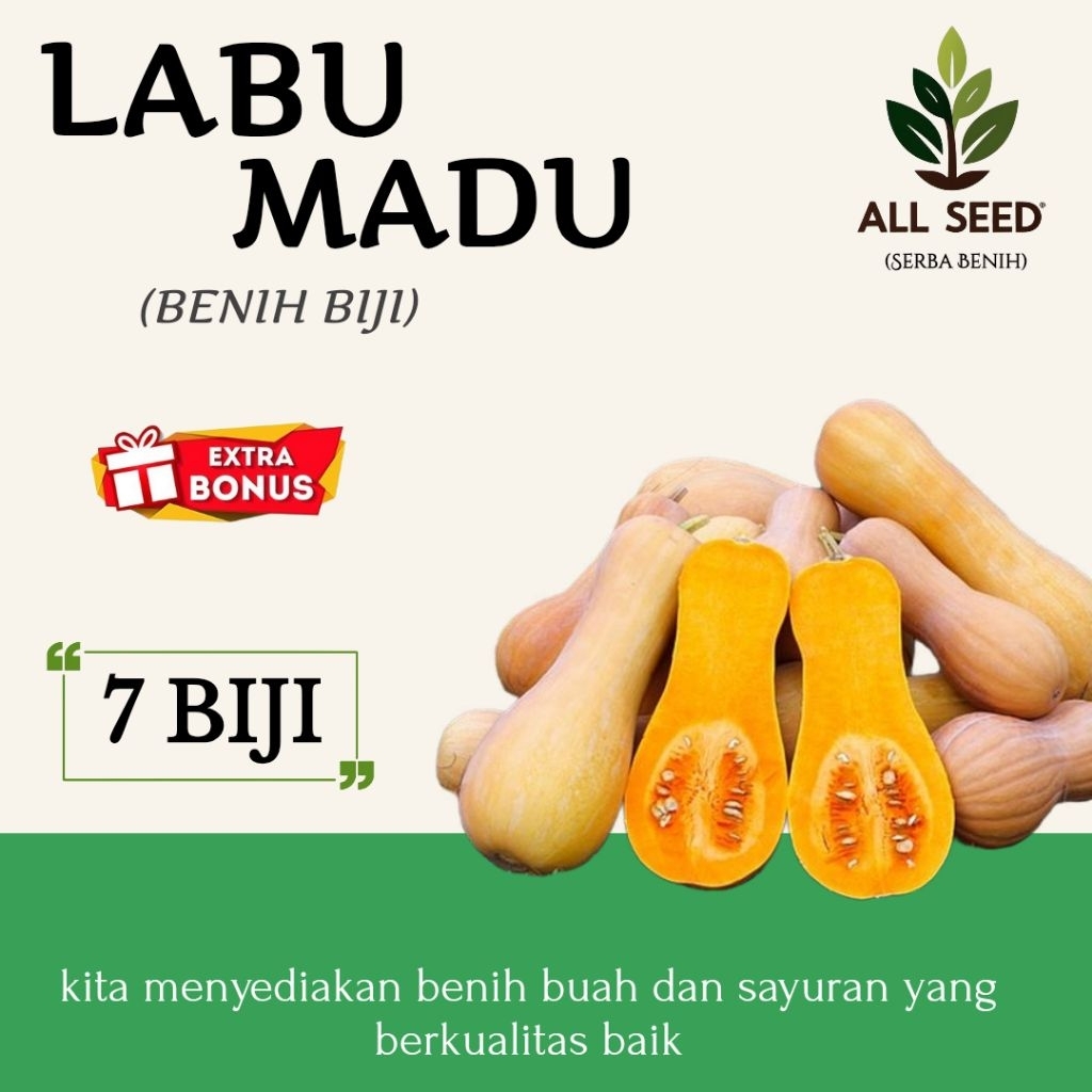 ( 7 biji ) Benih labu madu, bibit biji labu madu | MURAH
