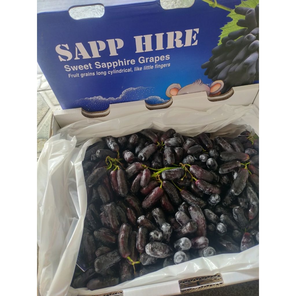 

anggur mondrop Hitam sweet Sapphire ada asamya