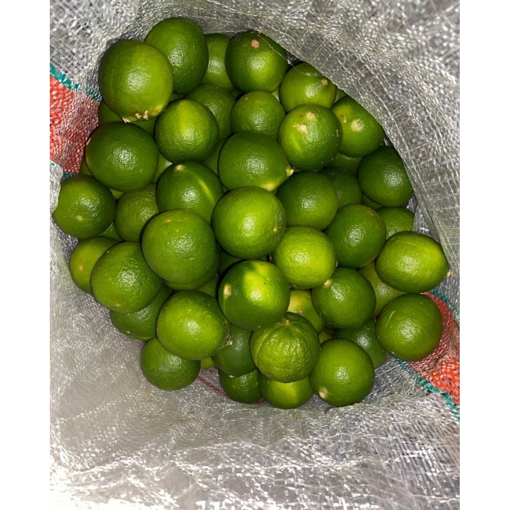 

Jeruk Nipis 20.000/1kg Mbah Sami Comel