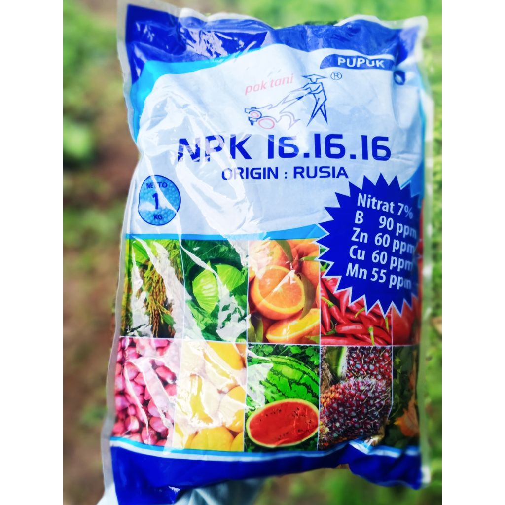 NPK 16 16 16 PUPUK NPK MUTIARA