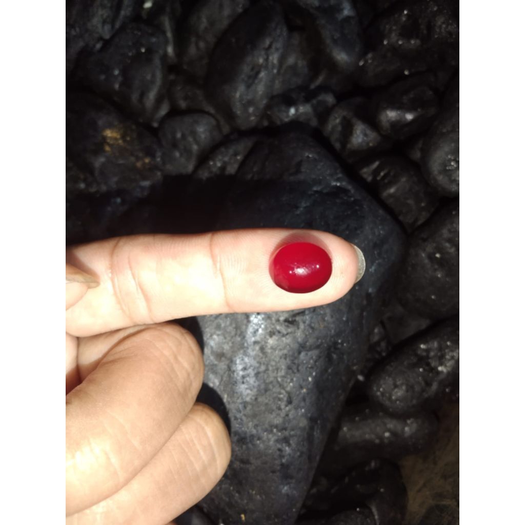 spesial batu merah delima natural alam 99