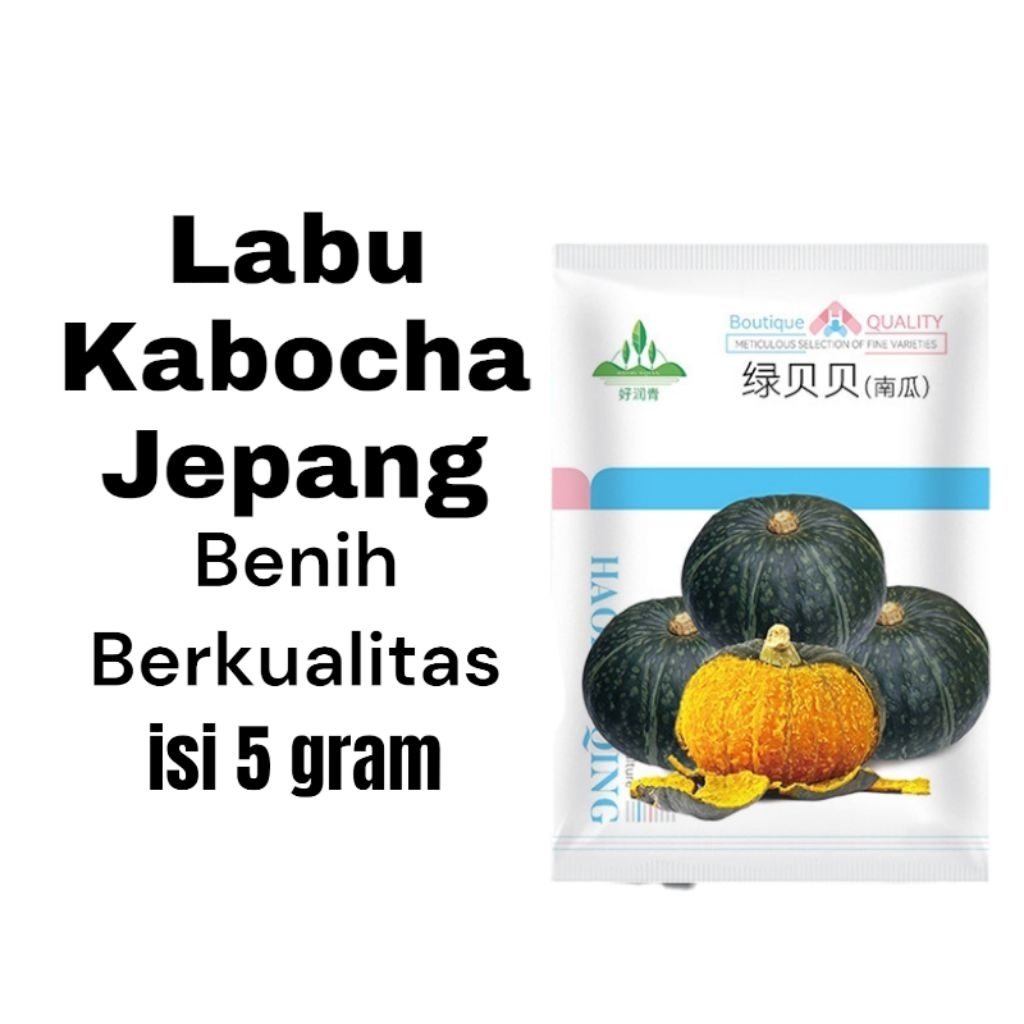 

benih labu kabocha hijau kualitas premium kemasan ori pabrik