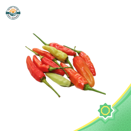 

Cabai Rawit Merah 100gr (NutriSayur) - Si Raja Pedas!