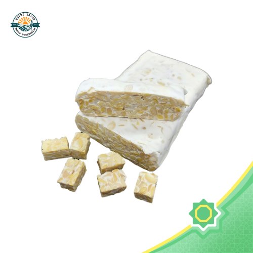 

Tempe Pilihan (1 Papan) | NutriSayur | Sumber Protein Nabati Terbaik!