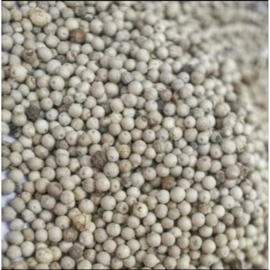 

lada bulat/merica putih bulat premium 100g-300g