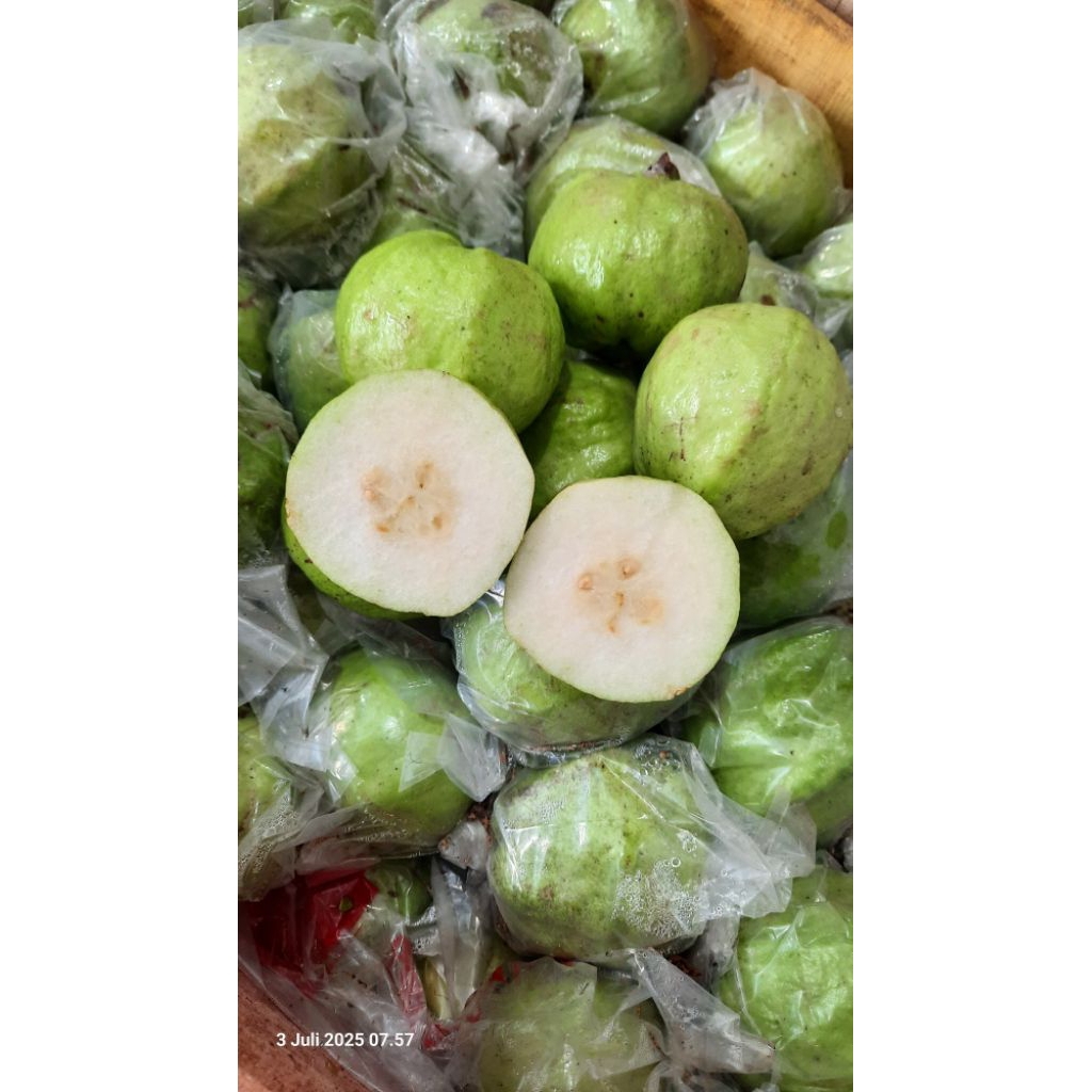 

jambu kristal kemasan 1 kg