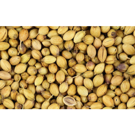 

Ketumbar Medan Daily Market