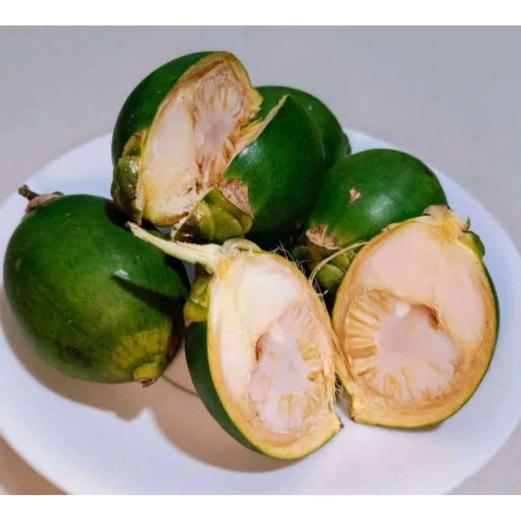 

Pinang Muda Biji Berkhasiat - Zuriat Alami 10 biji