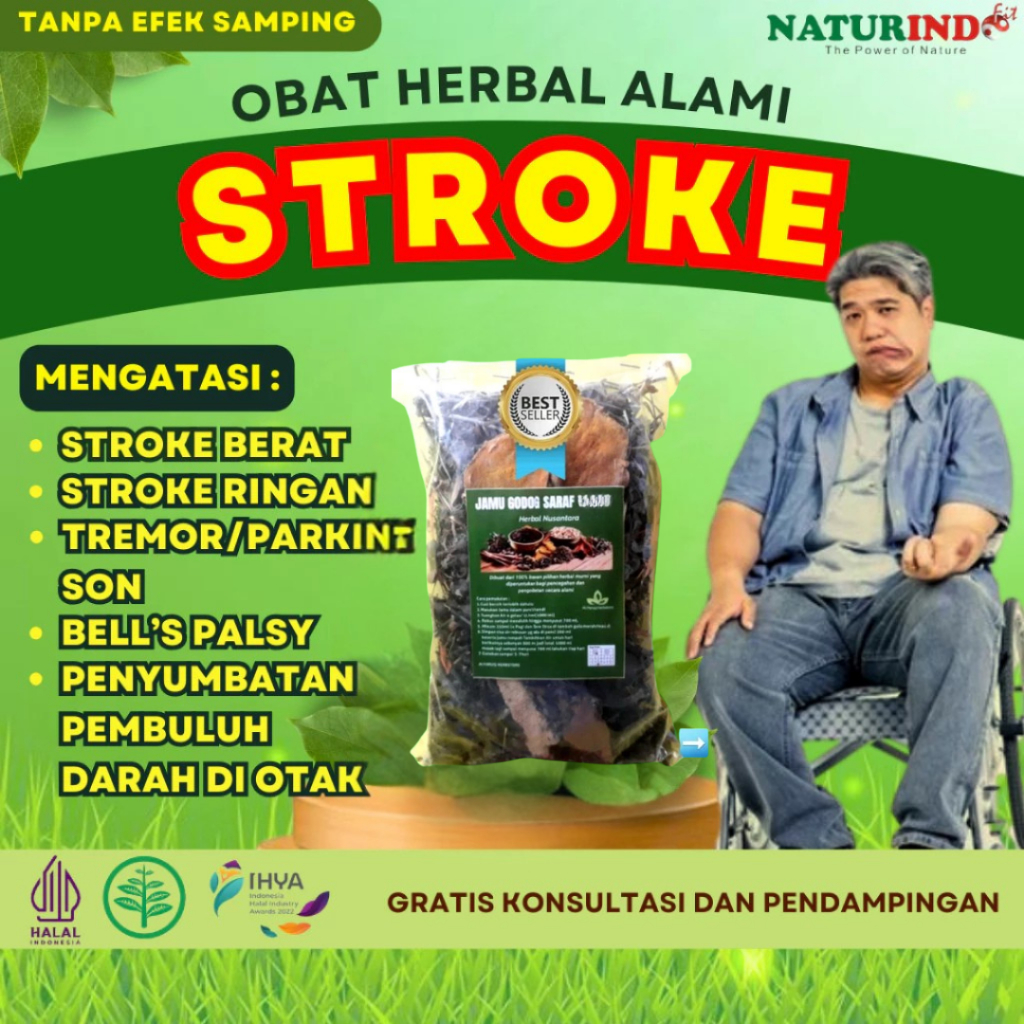 Obat Stroke Susah JalAN Lumpuh Obat Stroke Ringan Obat Bells Palsy Stroke Wajah Ampuh Terapi Pemulih