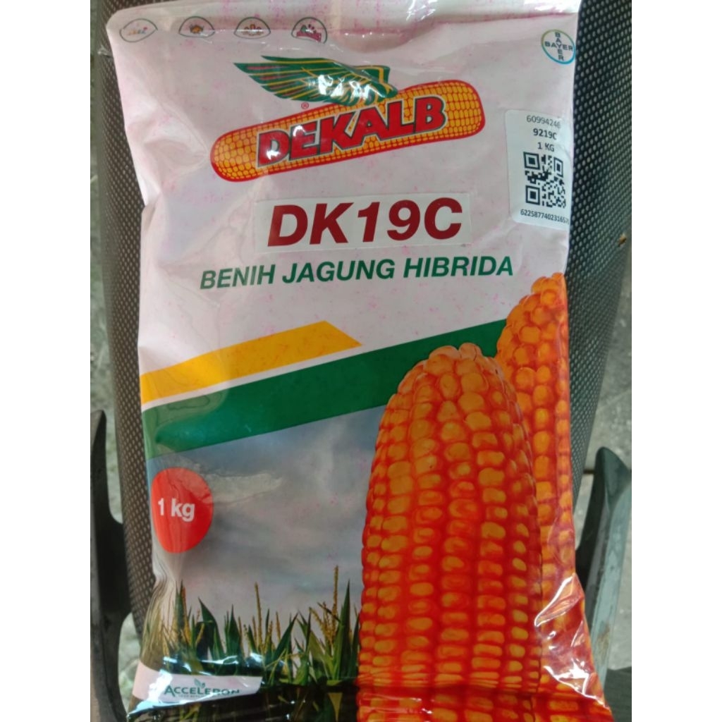 BENIH JAGUNG HIBRIDA DK 19C 1KG