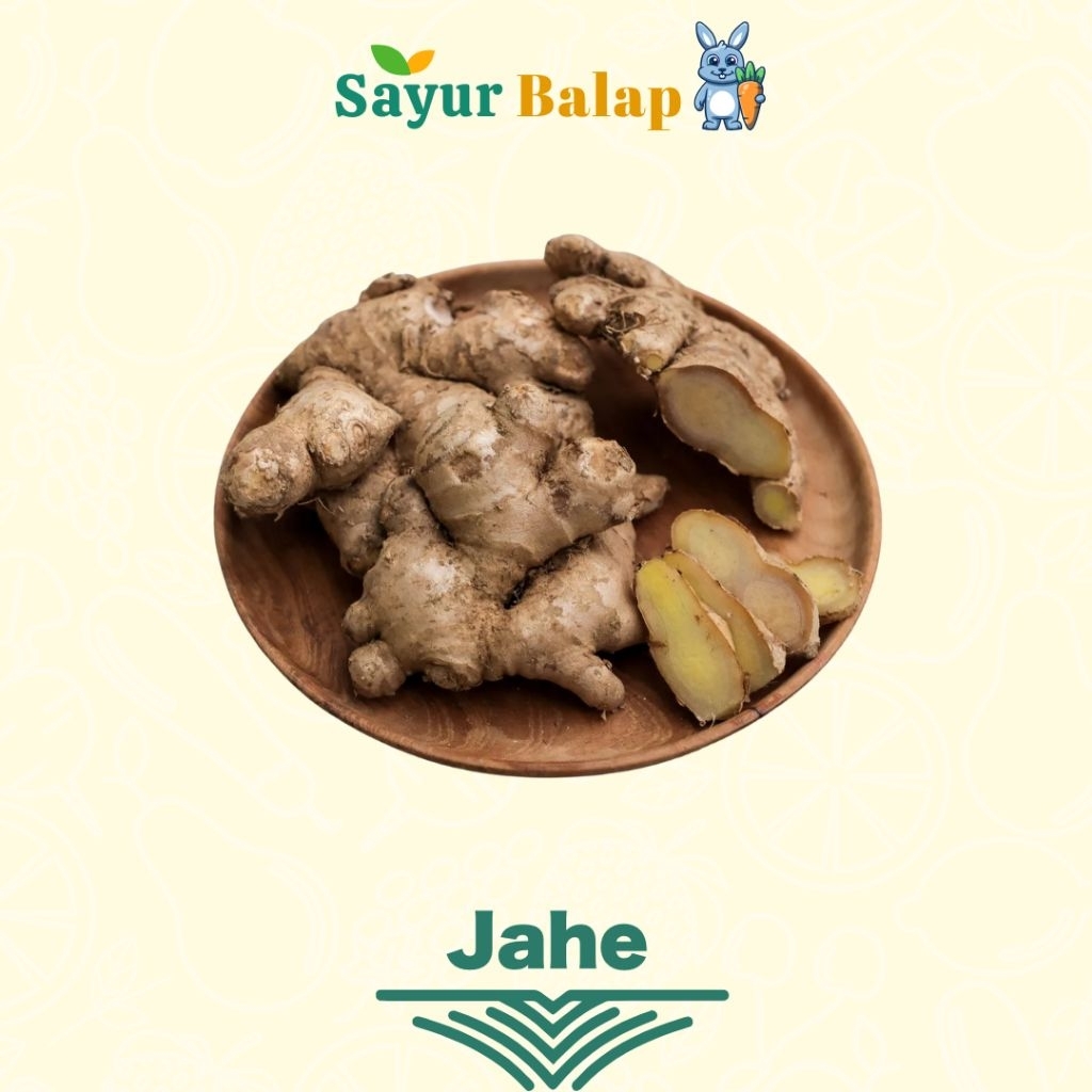 

Jahe - 100 Gram - Sayur Balap Lampung