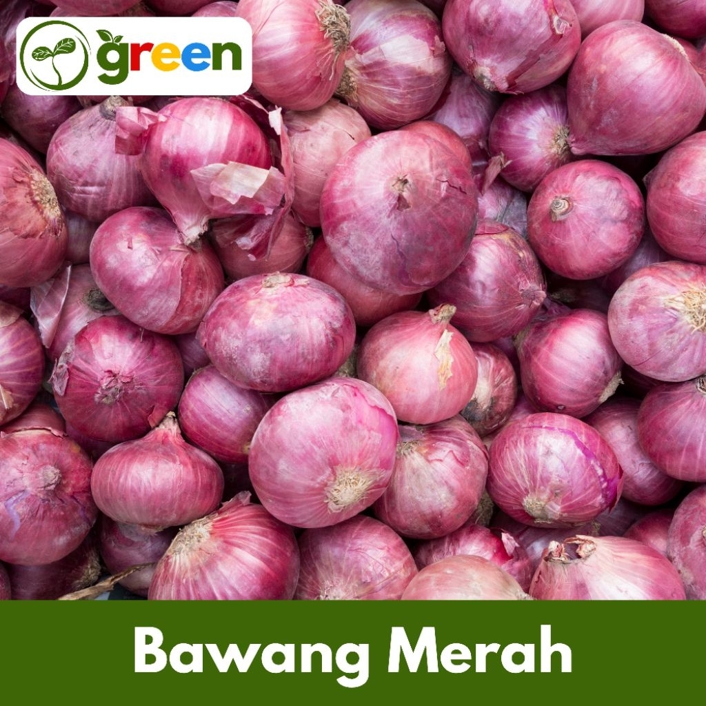 

Bawang Merah Kota Angin