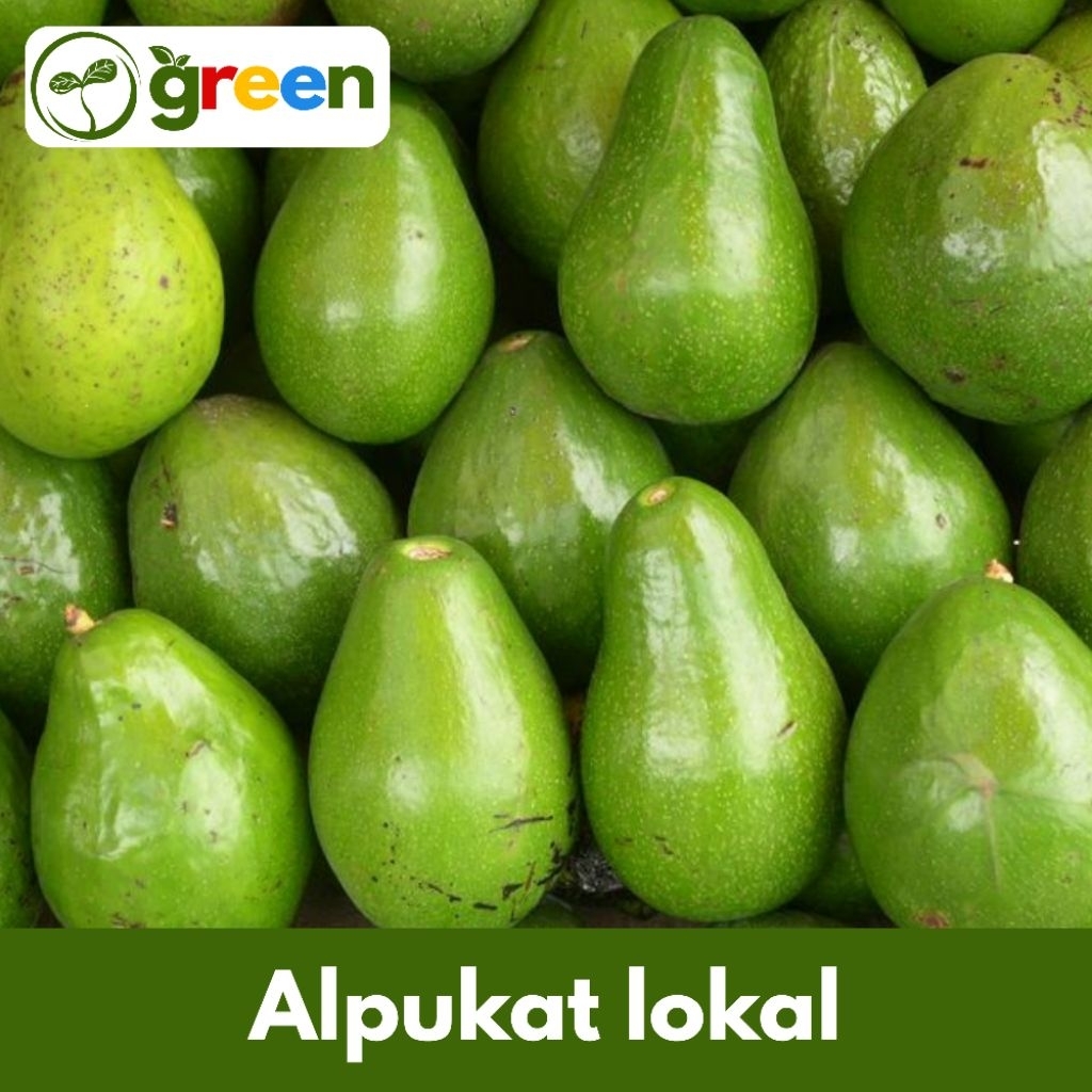 

Alpukat Lokal