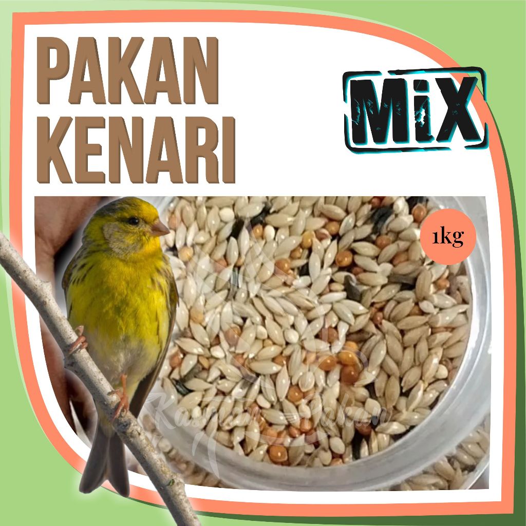 Pakan Kenari 1 Kg Campur Kiloan Premium Tinggi Biji Sawi Gabah Kenari Seed Kuaci Milet Merah Putih