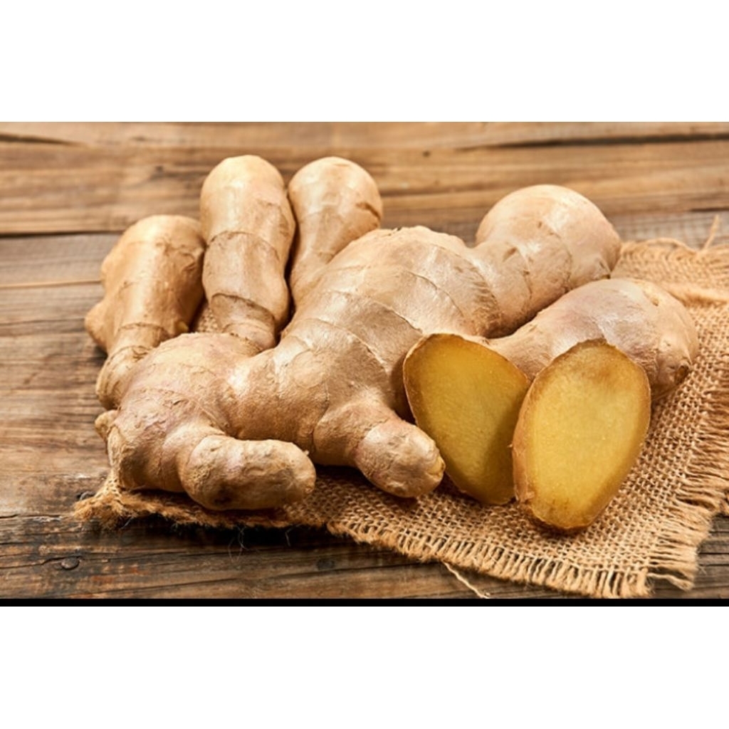 

JAHE GAJAH (PUTIH) SUPER UNTUK KONSUMSI DAN BISA UNTUK BIBIT