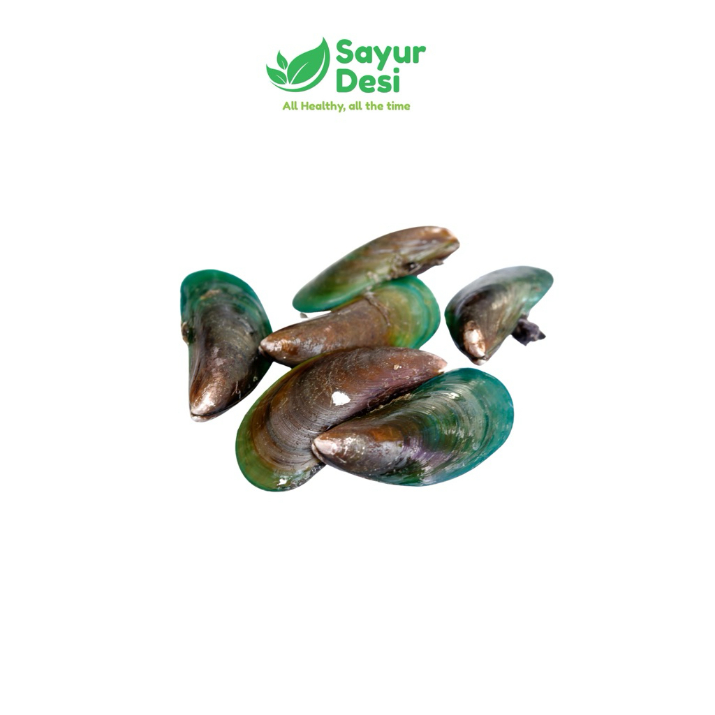 

Kerang Hijau 500 gram Sayur Desi