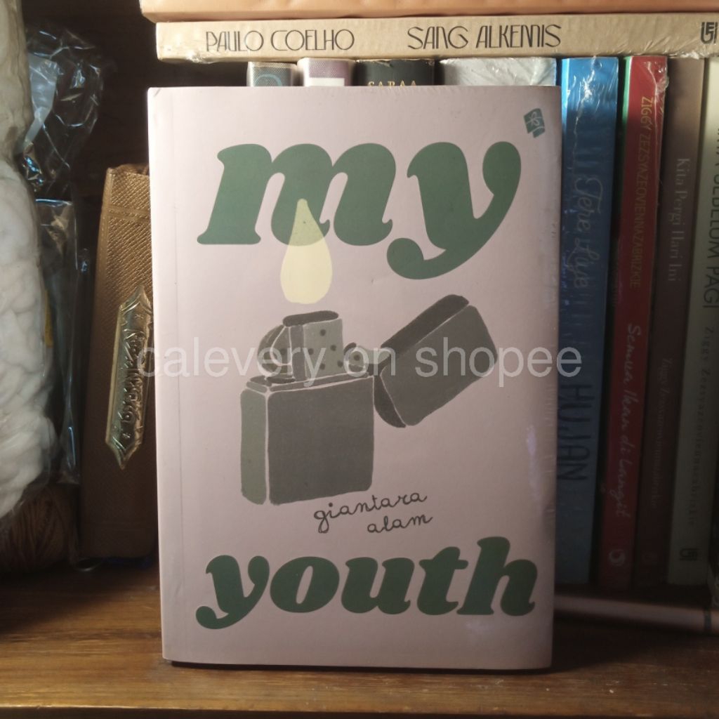 Buku Novel AU My Youth