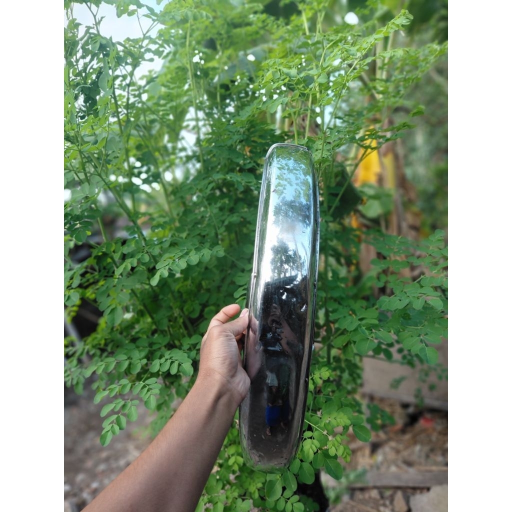 slebor depan gl 100 ori