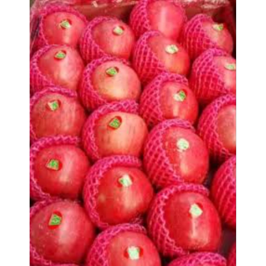 

Apel Premium Medan Daily Market